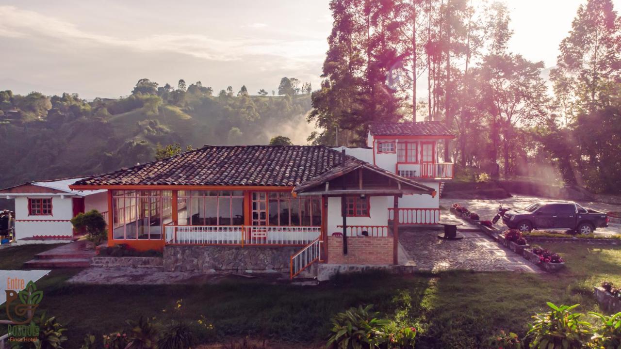 Ecohotel Entrebosques سالنتو المظهر الخارجي الصورة