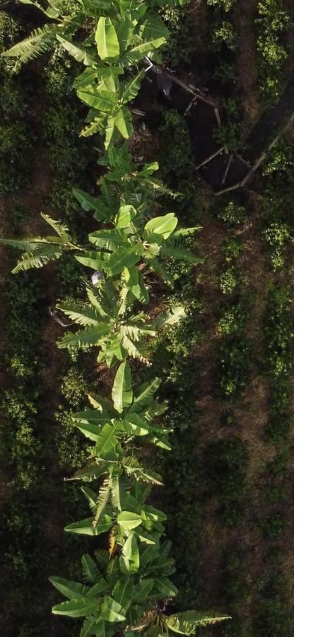 Ecohotel Entrebosques سالنتو المظهر الخارجي الصورة