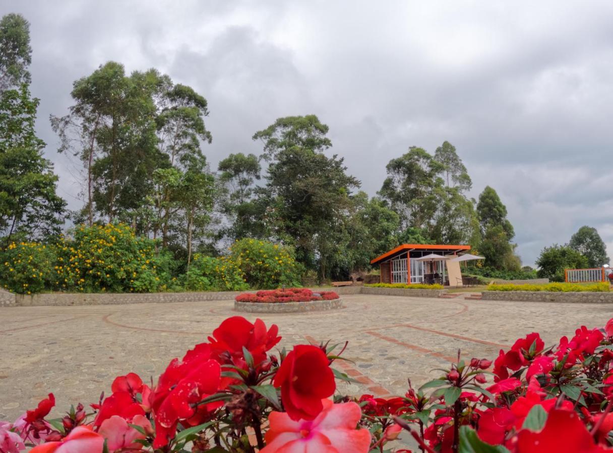 Ecohotel Entrebosques سالنتو المظهر الخارجي الصورة